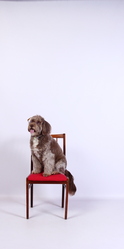 Фото из фотостудии самообслуживания (автопортрета) в Селфклик