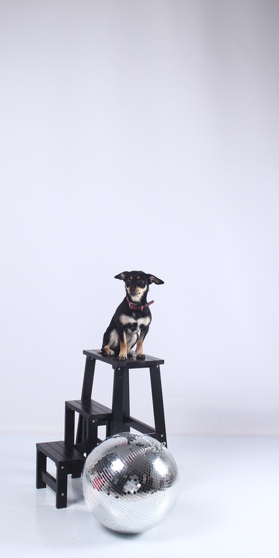 Фото из фотостудии самообслуживания (автопортрета) в Селфклик